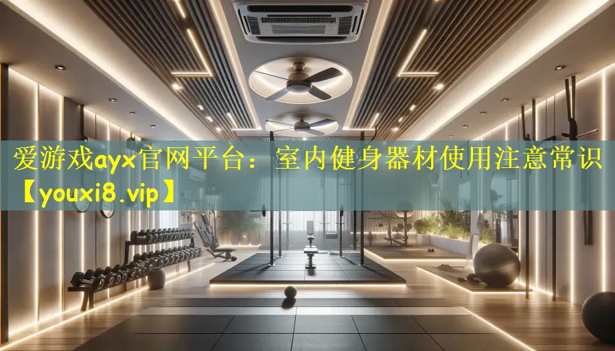 爱游戏ayx官网平台:室内健身器材使用注意常识