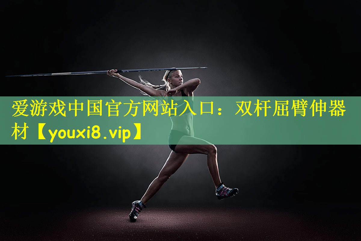 爱游戏中国官方网站入口:双杆屈臂伸器材