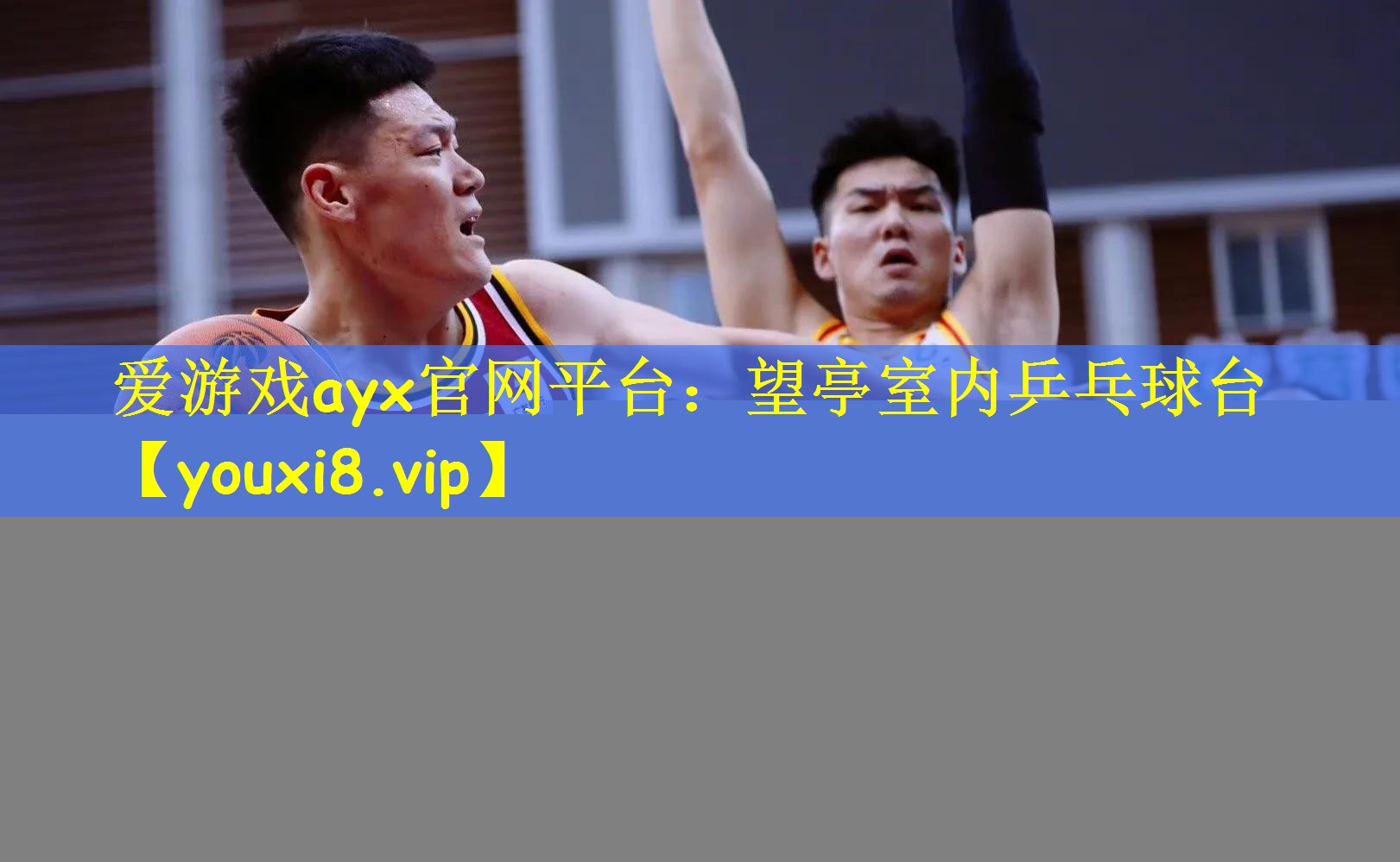 爱游戏ayx官网平台:望亭室内乒乓球台