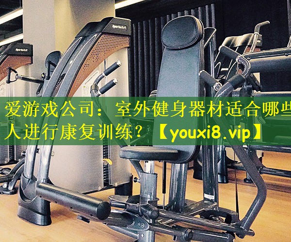 爱游戏公司:室外健身器材适合哪些人进行康复训练?