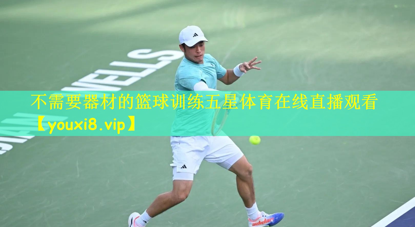 不需要器材的篮球训练五星体育在线直播观看