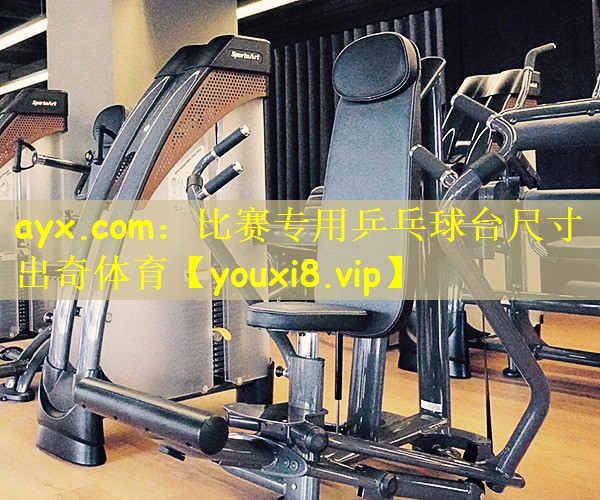 ayx.com:比赛专用乒乓球台尺寸出奇体育