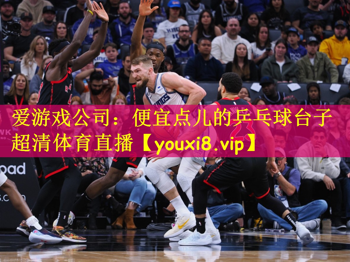爱游戏公司:便宜点儿的乒乓球台子超清体育直播