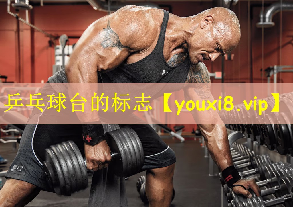 乒乓球台的标志