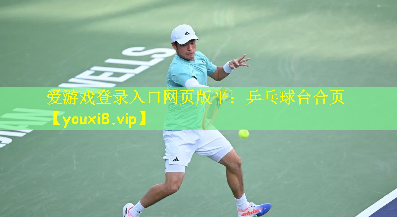 爱游戏登录入口网页版平：乒乓球台合页