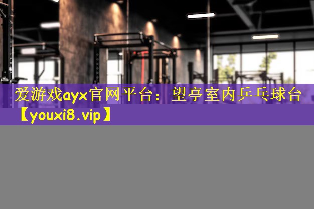 望亭室内乒乓球台