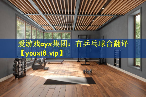 有乒乓球台翻译