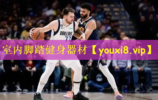 室内脚踏健身器材