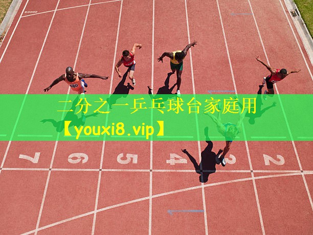 二分之一乒乓球台家庭用