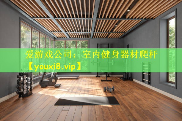 爱游戏公司:室内健身器材爬杆