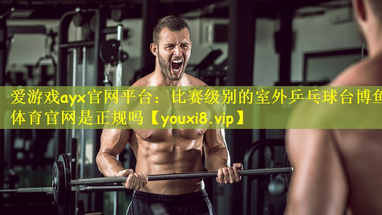 爱游戏ayx官网平台:比赛级别的室外乒乓球台博鱼体育官网是正规吗