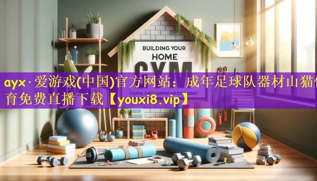 ayx·爱游戏(中国)官方网站:成年足球队器材山猫体育免费直播下载