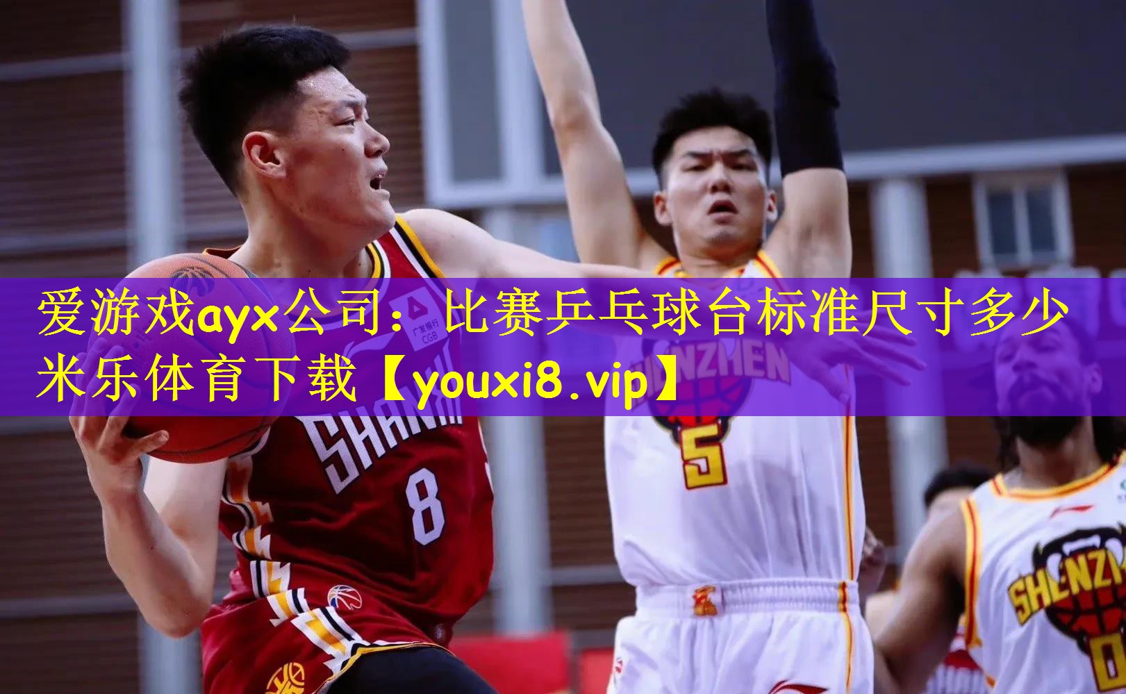 爱游戏ayx公司:比赛乒乓球台标准尺寸多少米乐体育下载