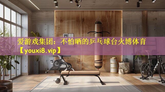 爱游戏集团:不怕晒的乒乓球台火博体育