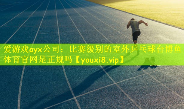 爱游戏ayx公司:比赛级别的室外乒乓球台博鱼体育官网是正规吗
