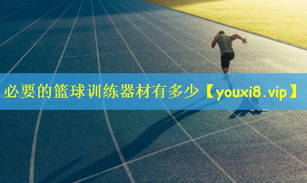 <strong>必要的篮球训练器材有多少</strong>