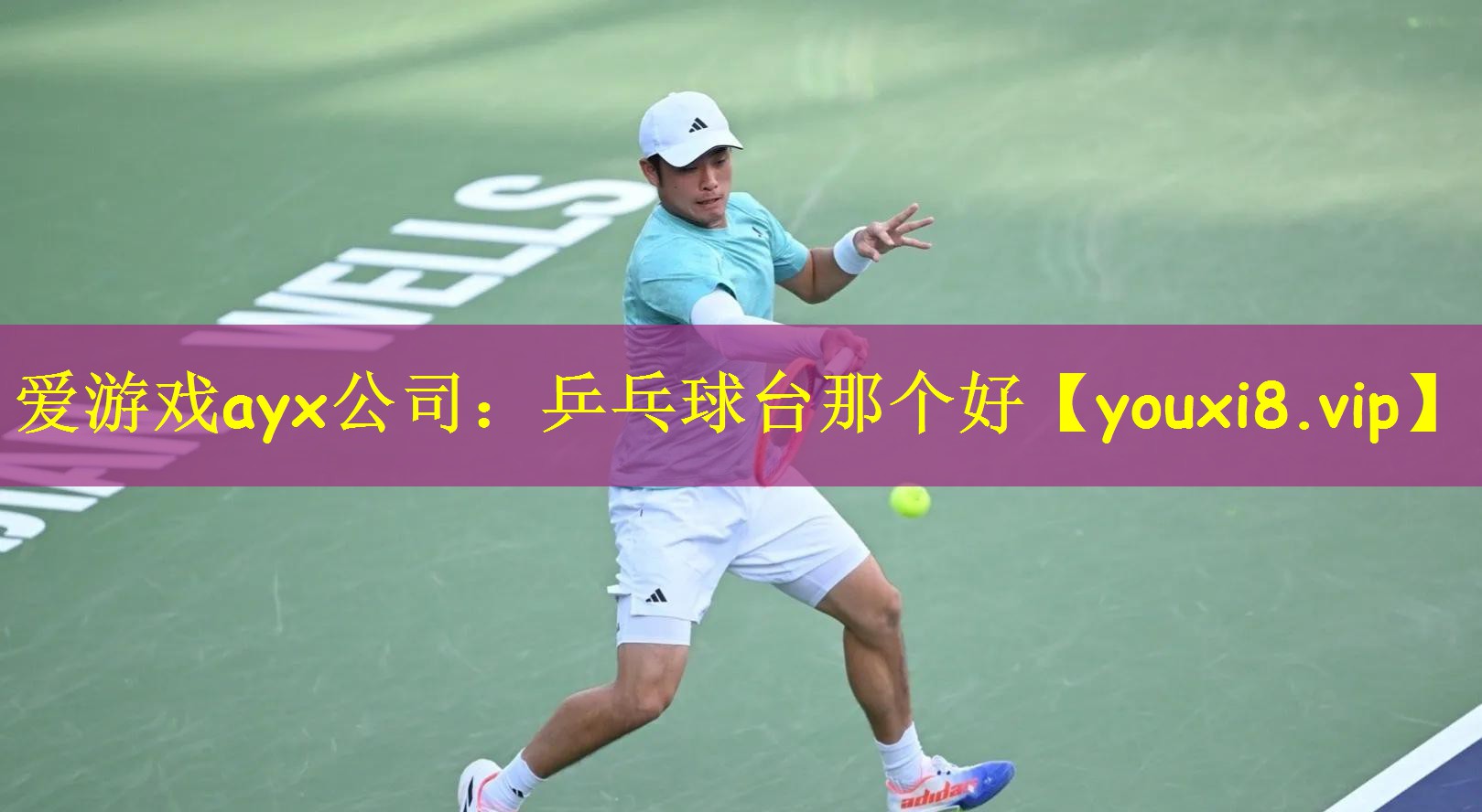 乒乓球台那个好
