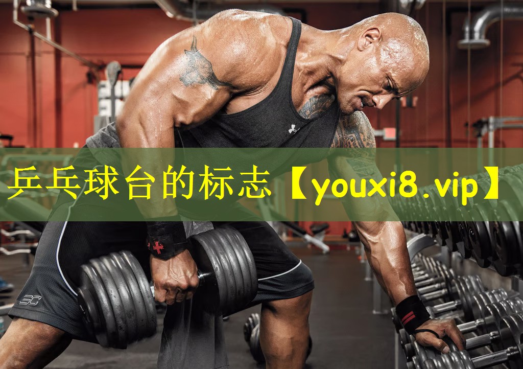 乒乓球台的标志