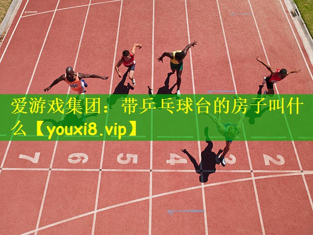 带乒乓球台的房子叫什么